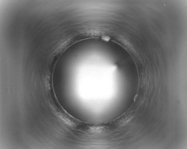 X0000066090450200603131208