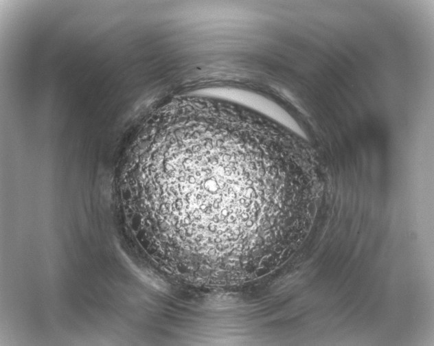 X0000066090451200603131208