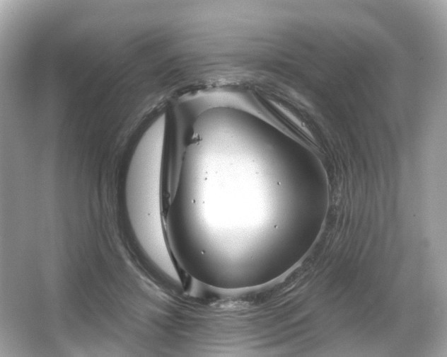 X0000066090452200603131208