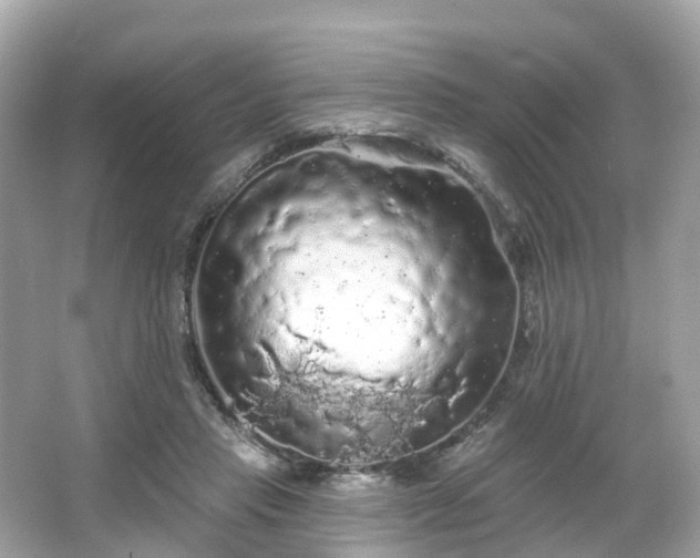 X0000066090453200603131208