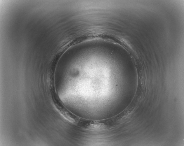 X0000066090455200603131208