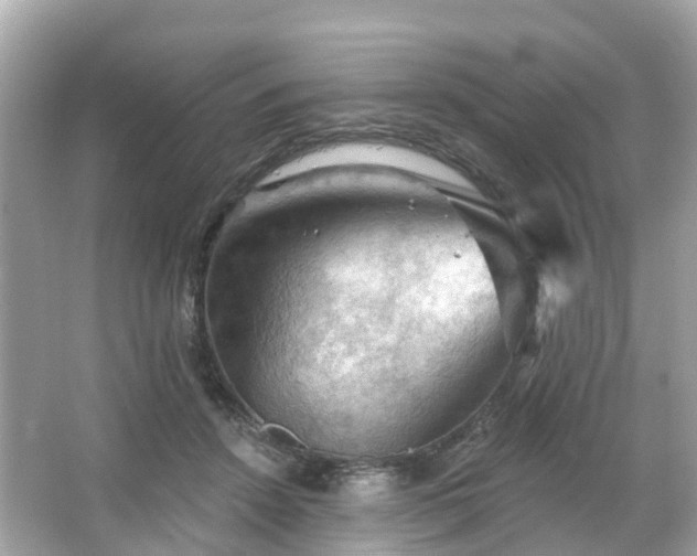 X0000066090456200603131208