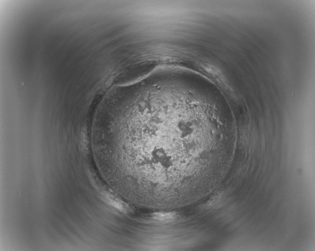 X0000066090457200603131208