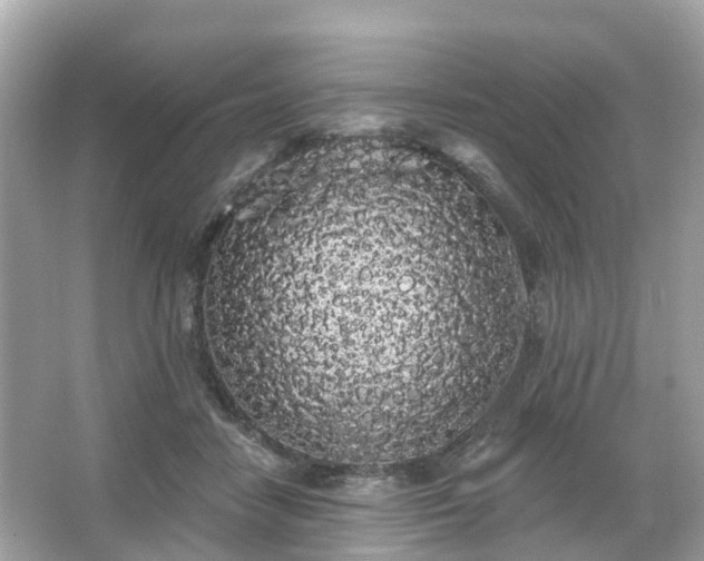 X0000066090458200603131208