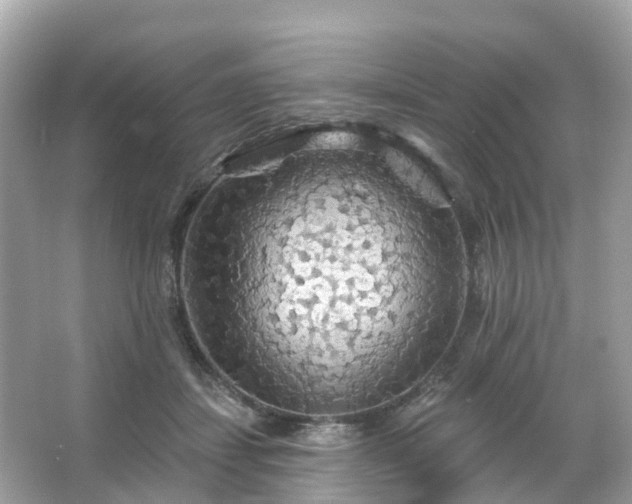 X0000066090459200603131208