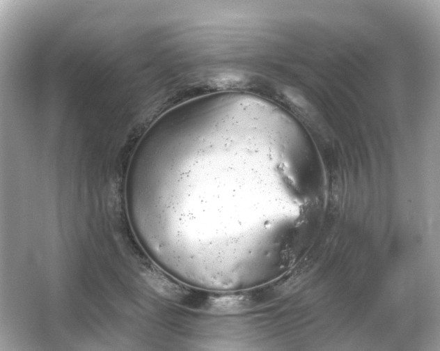 X0000066090461200603131208