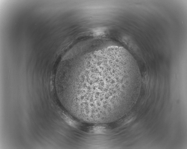 X0000066090462200603131208