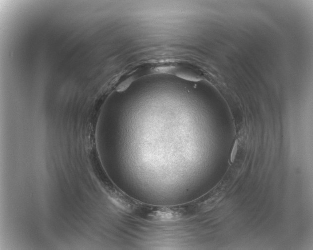 X0000066090464200603131208