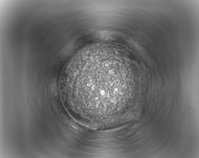 X0000066090465200603131208