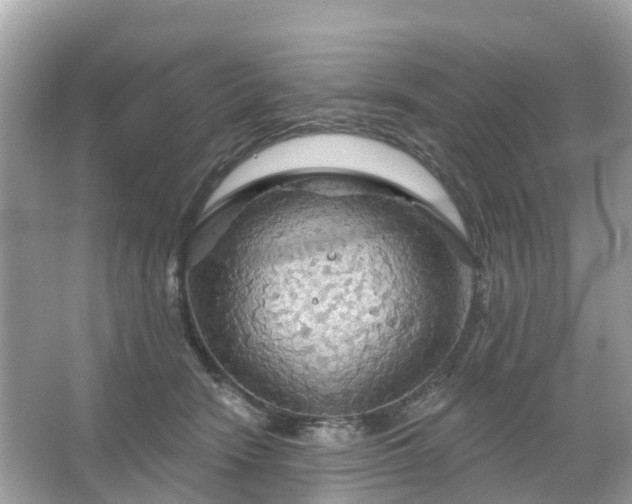 X0000066090466200603131208