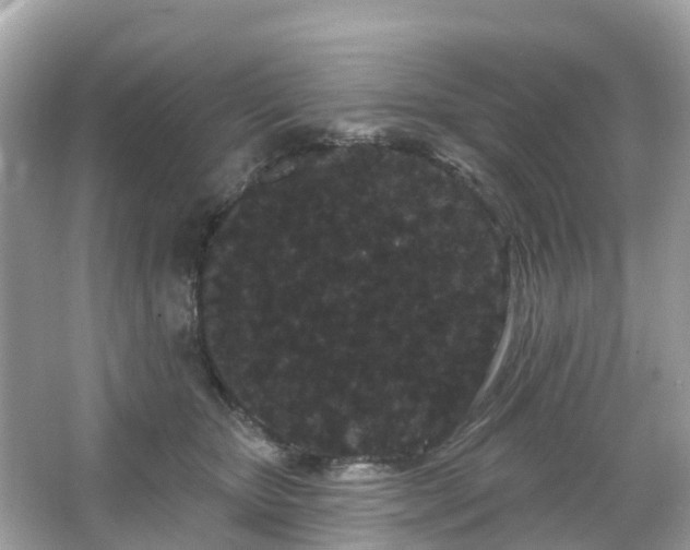 X0000066090467200603131208