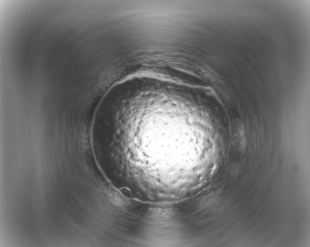 X0000066090469200603131208