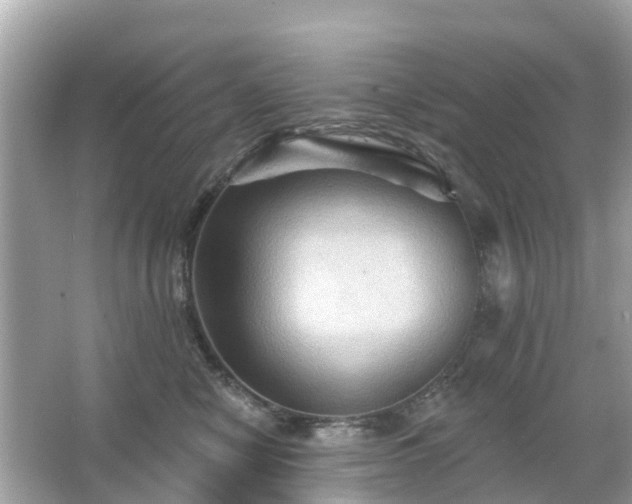 X0000066090470200603131208