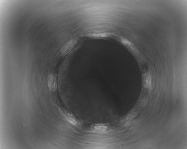 X0000066090471200603131208