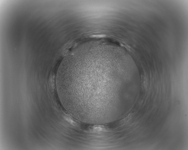 X0000066090475200603131208