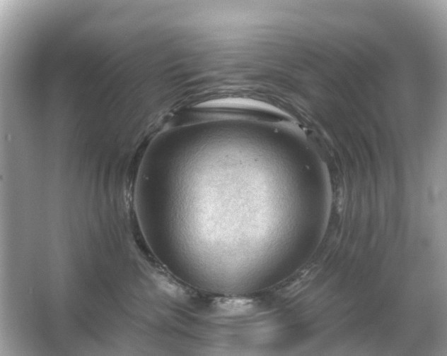 X0000066090476200603131208