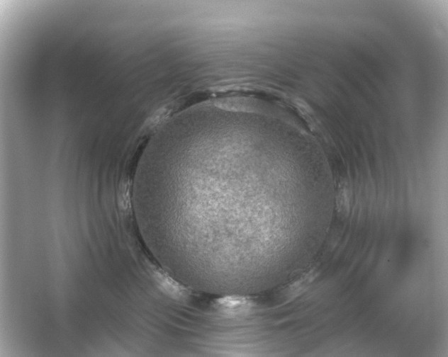 X0000066090477200603131208