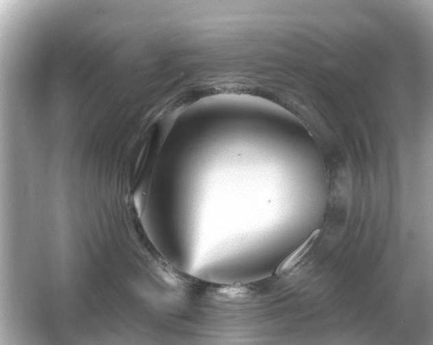 X0000066090478200603131208