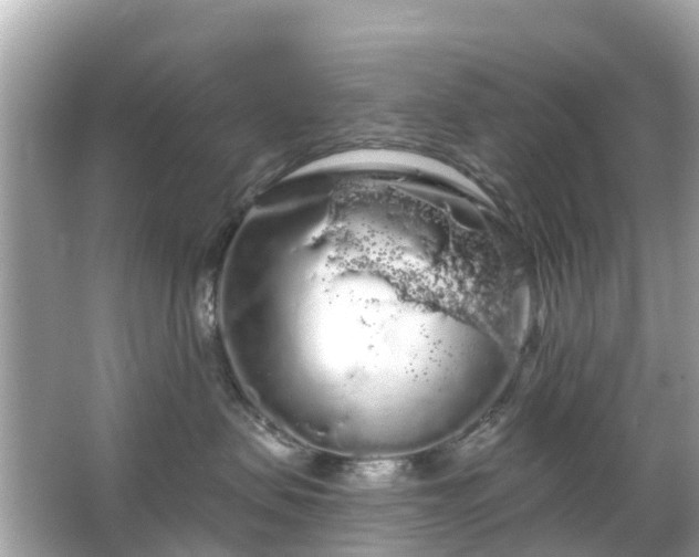 X0000066090479200603131208