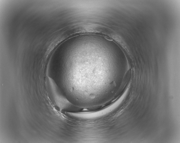 X0000066090481200603131208