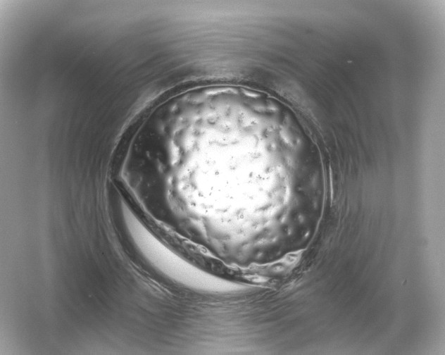 X0000066090483200603131208