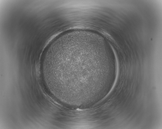 X0000066090484200603131208