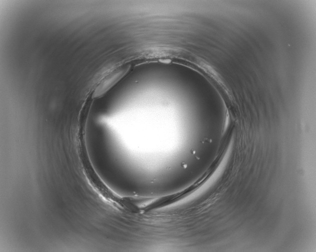 X0000066090485200603131207