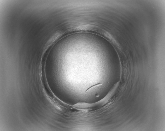 X0000066090486200603131207