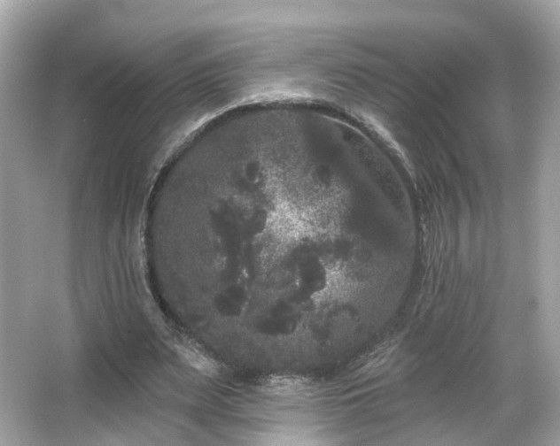 X0000066090487200603131207