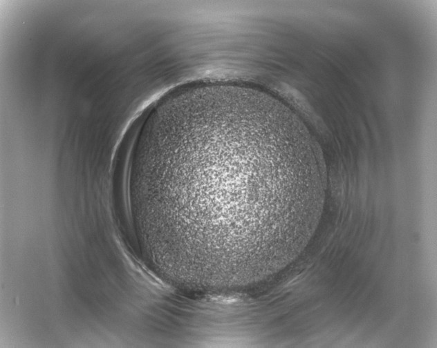 X0000066090488200603131207