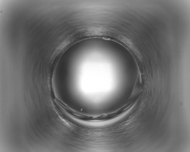 X0000066090489200603131207