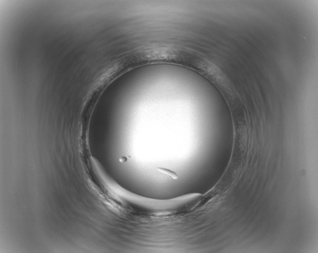 X0000066090490200603131207