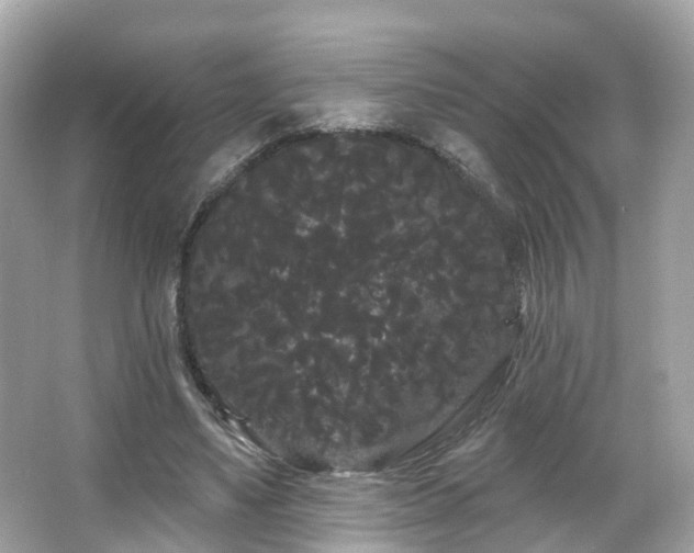 X0000066090491200603131207