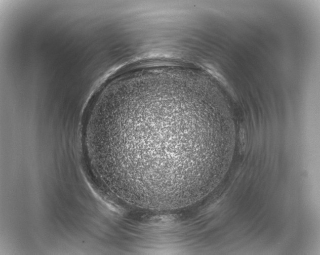 X0000066090492200603131207