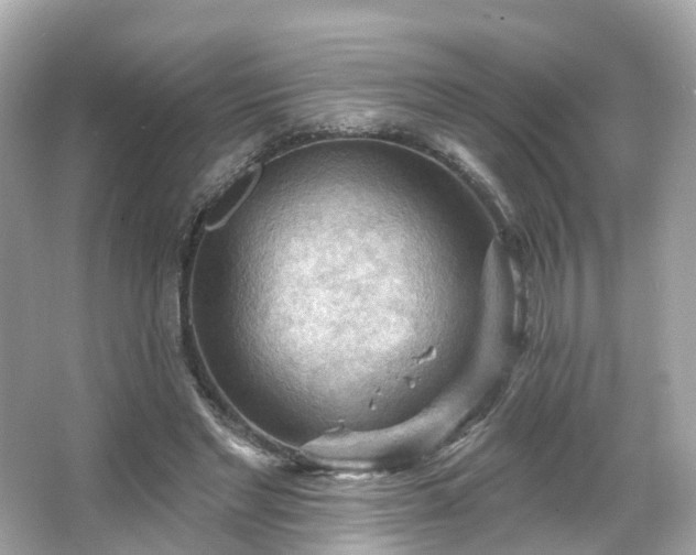 X0000066090493200603131207