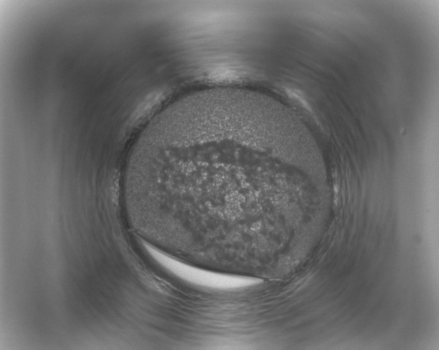 X0000066090495200603131207