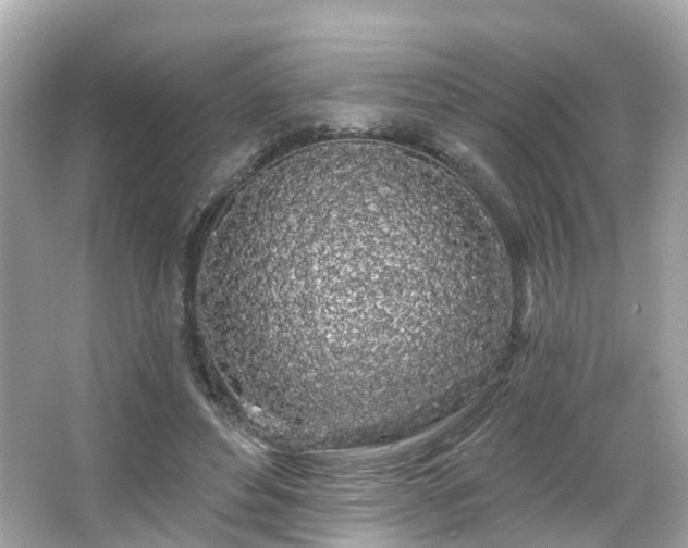 X0000066090496200603131207