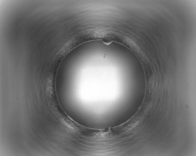 X0000066090497200603131207