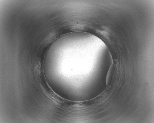 X0000066090498200603131207