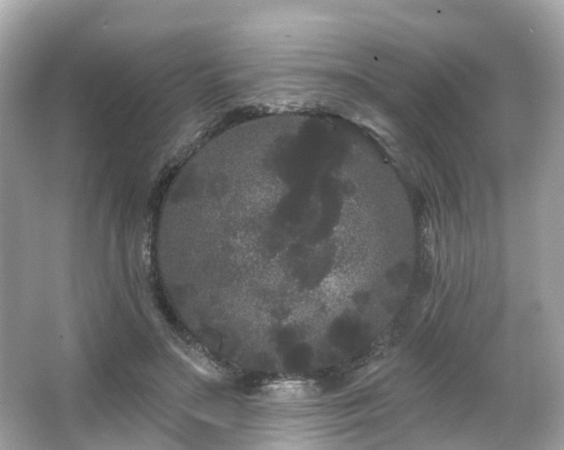 X0000066090499200603131207