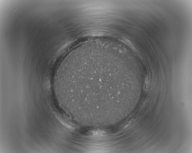 X0000066090500200603131207