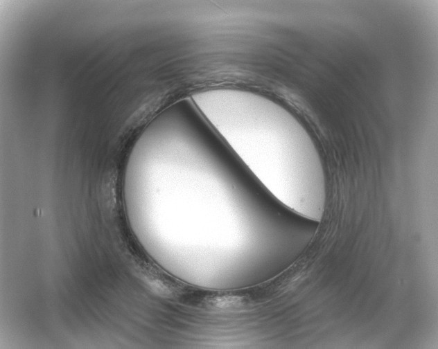 X0000066090501200603131207