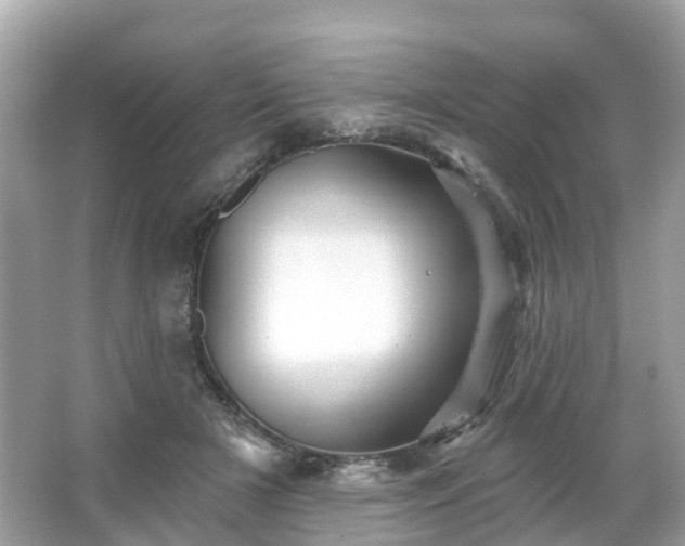 X0000066090505200603131207