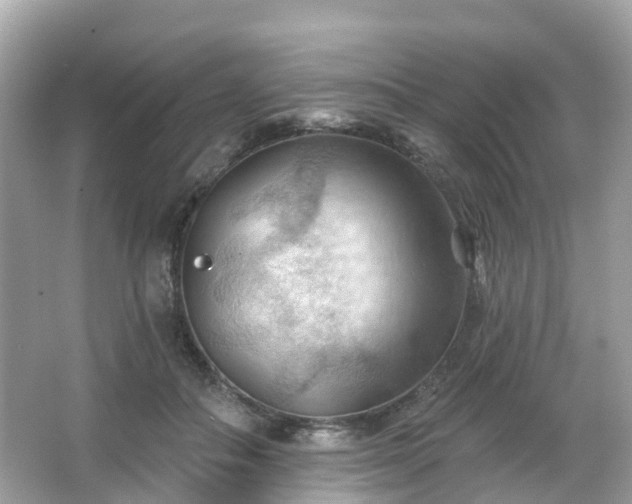 X0000066090506200603131207