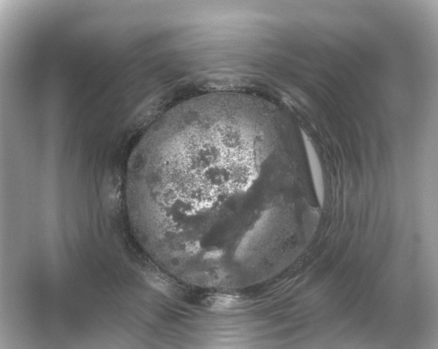 X0000066090507200603131207