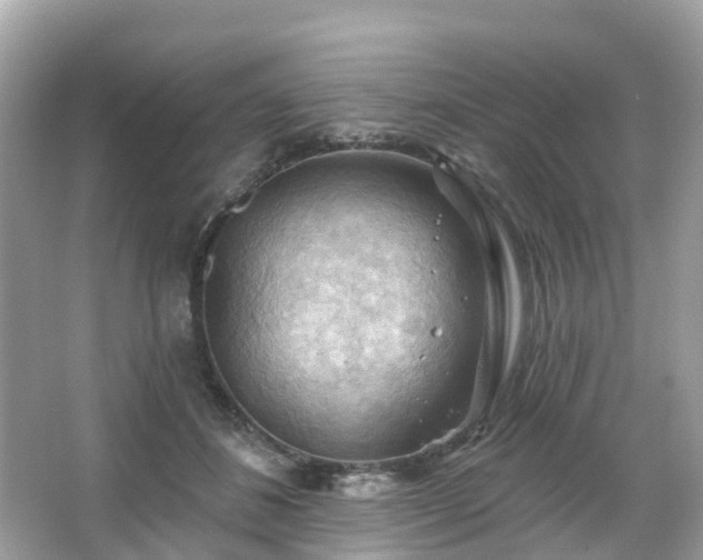 X0000066090508200603131207