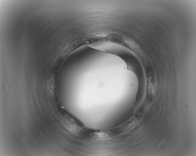 X0000066090509200603131207