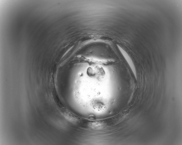 X0000066090511200603131207