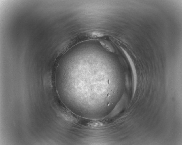 X0000066090512200603131207