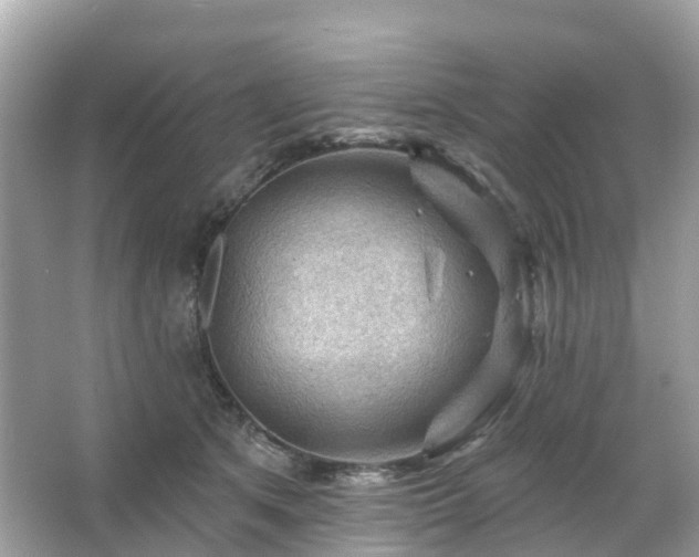 X0000066090513200603131207